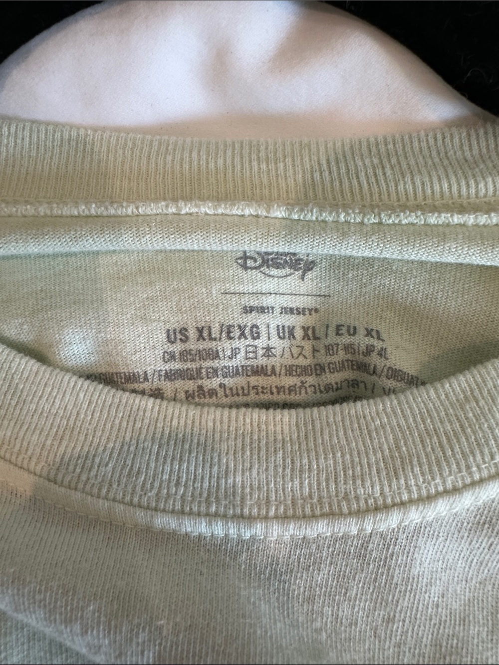Disney “The Florida Orange Bird” Green Spirit Jersey - Picture 3 of 5